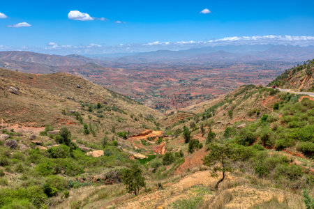 Devastated Madagascar landscape, Mandoto, Province Vakinankaratra. Deforested highland countryside with erosion. Massive deforestation creates agricultural pastoral land but also an ecological problem.の写真素材