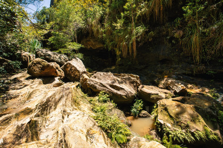 Isalo National Park in Ihorombe Region. Wilderness landscape with water erosion into rocky outcrops, plateaus, extensive plains and deep canyons. Beautiful Madagascar landscape.の写真素材