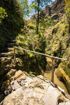 Rain forest stone stairs, pure unattached nature, Isalo national park. Beautiful unattached Madagascar wilderness exotic landscape.の写真素材