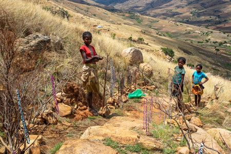 Andringitra Mountains, Madagascar - November 15th 2022: Local young girl and boy selling souvenirs...