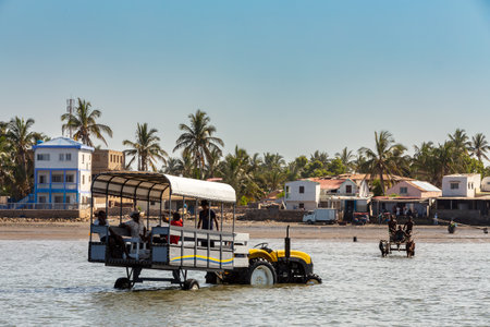 Toliara, Madagascar - November 24, 2022: Modern tractor takes tourists to the boat at low tide. In background as contrast is zebu used as a draft animal in Madagascar.のeditorial素材