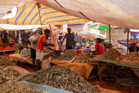 Mandoto, Madagascar - November 9, 2022 - Malagasy man buys dried fish at a street market. Fishing is one of the livelihoods in Madagascar.のeditorial素材