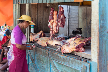 Miandrivazo, Madagascar - 02/11/2022: A hot day in Miandrivazo, Madagascar, with a street stall butcher shop open with raw meat.のeditorial素材