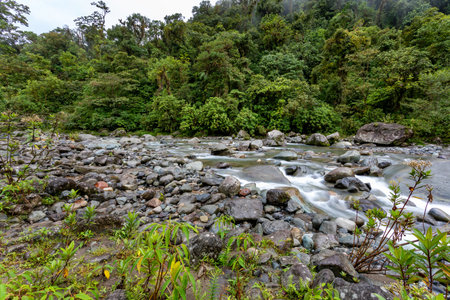 The Orosi River, also called Rio Grande de Orosi, is a river in Costa Rica near the Cordillera de Talamanca. Tapanti - Cerro de la Muerte Massif National Park. Costa Rica wilderness landscapeの写真素材