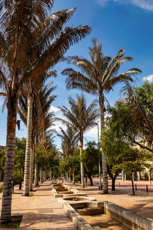 View of the walking path and fountains of the Eje Ambiental in Bogota city center.の写真素材