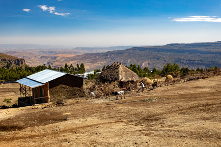 Ethiopian farmer in the highland countryside is repairing a cattle fence in front of his hut, Oromia...