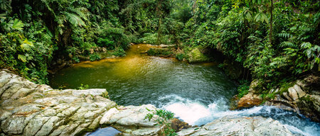 Small natural pond in the jungle. Hard trek to hidden ancient ruins of Tayrona civilization Ciudad...