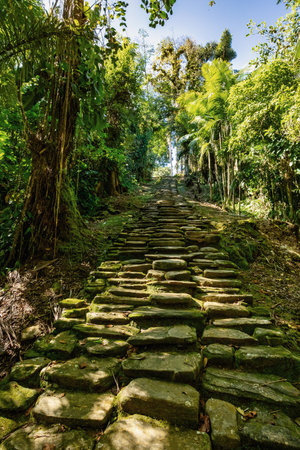 Queens main stone stairs in hidden ancient ruins of Tayrona civilization Ciudad Perdida in heart of...