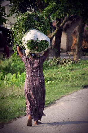 Woman working in Nepalの写真素材