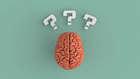 Brain with white question mark concept to creative idea brainstorm top view 3d render image