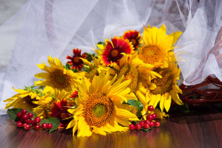Composition with sunflowers, daisies and red viburnum on a background of a basket and a white transparent fabricの写真素材