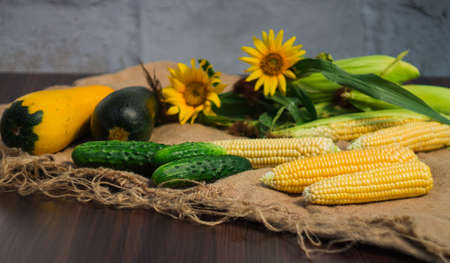 corn and cucumbers lie on the rough cloth and a soft background of green corn, zucchini flowers and sunflowerの写真素材