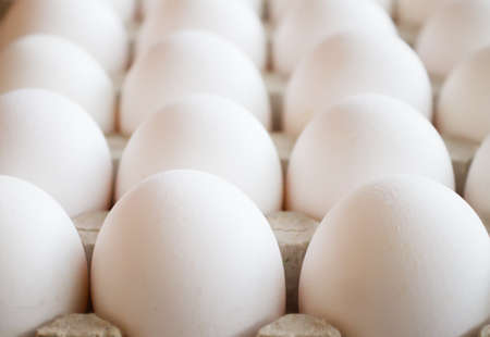 background of white large chicken eggs closeupの写真素材