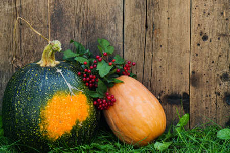 Two pumpkins on the grass on a wooden backgroundの写真素材