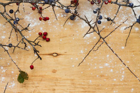 branches with red and blue berries on a wooden background with snowの写真素材