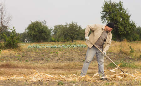DIKANKA, UKRAINE - SEPTEMBER 30, 2015: Country farmer working in the field raking crop residues with the help of a rakeのeditorial素材