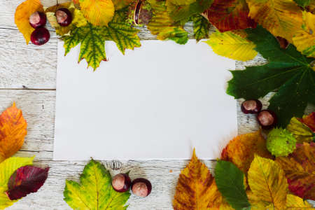 colored autumn leaves on a white wooden background with a sheet of white paper