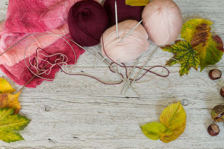 knitted scarf and yarn with spokes on a white wooden background with autumn leavesの写真素材