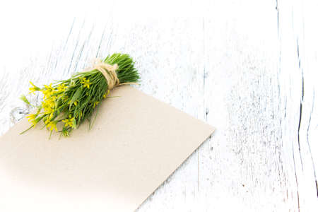 bouquet of small yellow flowers on a white background blurredの写真素材