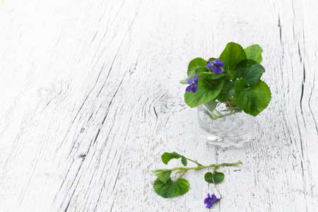 small bouquet of violets  in a glass on a white wooden backgroundの写真素材