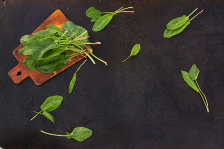 Fresh leaves of sorrel on cutting board on a dark metallic background. blackout photoの写真素材