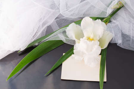 bouquet of white irises with a veil and a blank sheet of paper on a dark glossy background