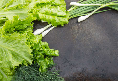 lettuce with dill, parsley and green onions closeup on a dark textural backgroundの写真素材