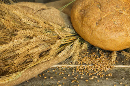 bread with ears and wheat grain closeup on a rough cloth