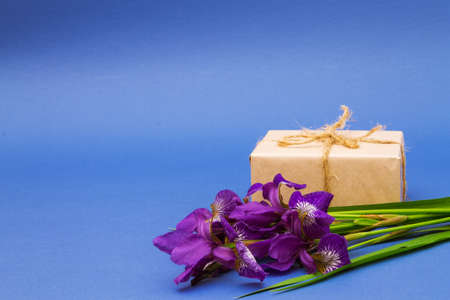 bunch of purple iris flowers and a gift on light blue backgroundの写真素材