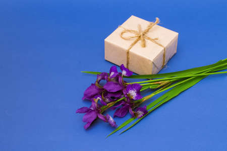 bouquet of purple iris flowers on a blue backgroundの写真素材