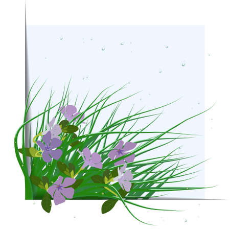 background with grass and flowers of periwinkle with rain dropsのイラスト素材