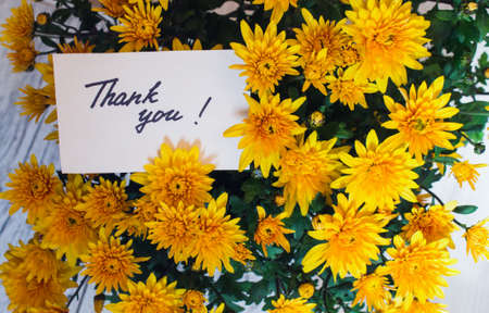 card with handwritten text "thank you" on a background of yellow chrysanthemumsの写真素材