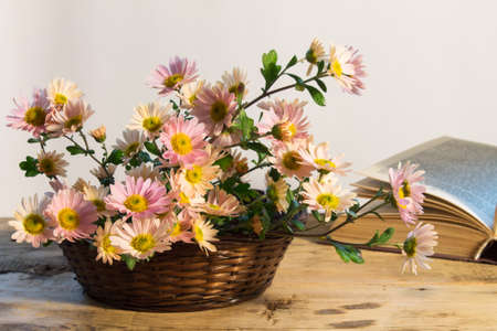 basket with a bouquet of delicate chrysanthemum with dew drops on a background of an open book on a wooden tableの写真素材
