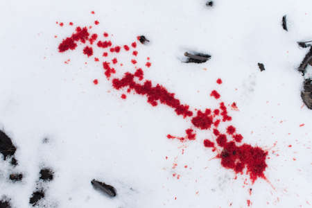 traces of blood on the snow. splashed bloodの写真素材