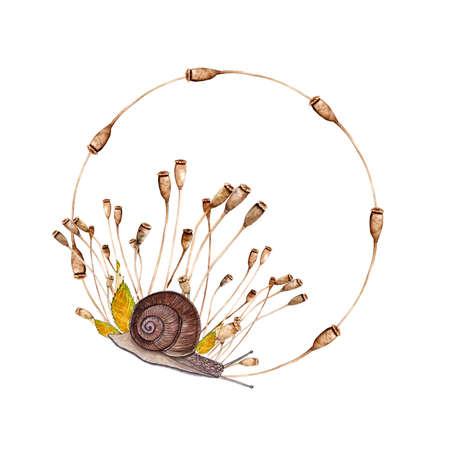Watercolor illustration of beautiful autumn wreath with brown snaile with poppies boxes for amazing design on white isolated backgroundの写真素材