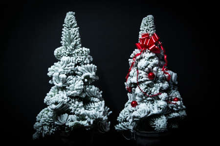 Decorated snow Christmas trees isolated on black backgroundの写真素材