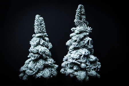 Decorated snow Christmas trees isolated on black backgroundの写真素材