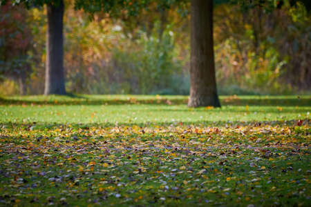 Park in Furth Germany during autumn season.の写真素材