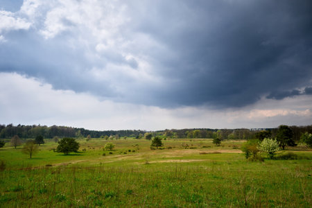 Storm Clouds above Hainberg, a nature reserve in spring season in Nuremberg, Germanyの写真素材