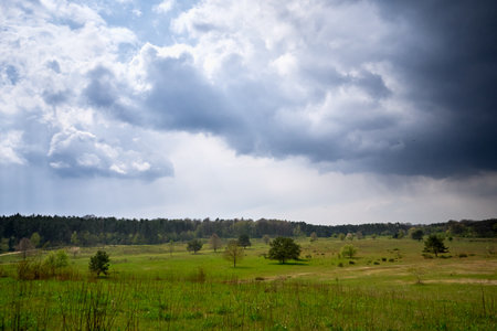 Storm Clouds above Hainberg, a nature reserve in spring season in Nuremberg, Germanyの写真素材