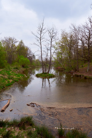 Hainberg, a nature reserve in spring season in Nuremberg, Germanyの写真素材