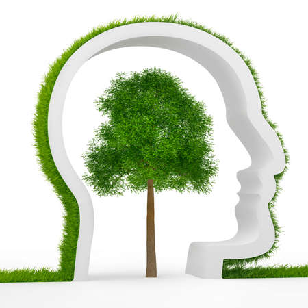 Shape of human head with Green Tree on White backgroundの写真素材
