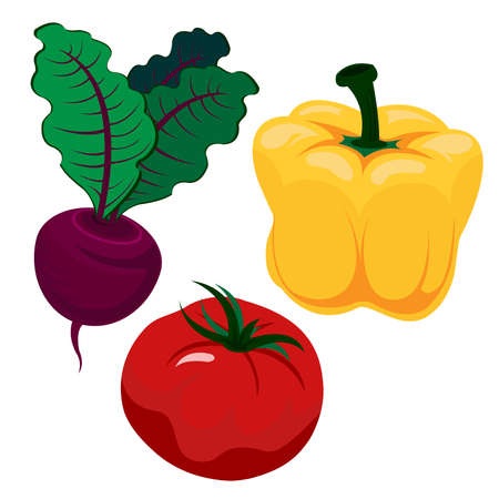 Beautiful and bright vegetables, Paper, tomato and beetのイラスト素材