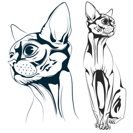 Monochrome bald cat, a set of two objects the head of a cat and the cat entirely. Vector illustrationsのイラスト素材