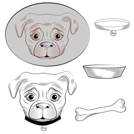 Set of 2 variants of the head dog pug and dog accessories. Vector illustrationのイラスト素材