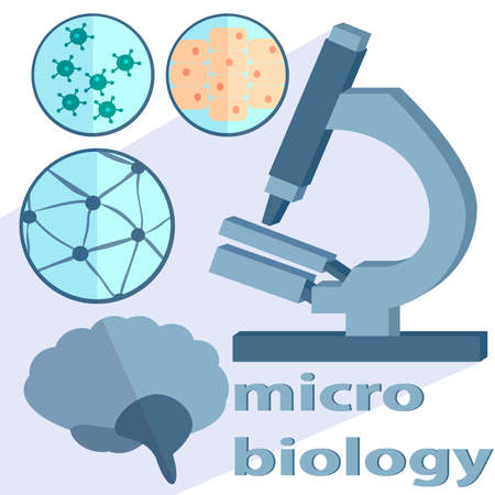 Set of scientific subjects for Microbiology and neurobiology Petri dishes, microscope, brain into flat style. vector illustrationのイラスト素材