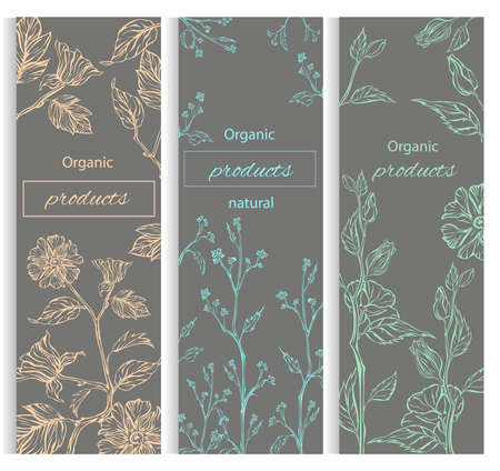 Floral, botanical decorative banner collection. Organic eco products. Vector illustrationのイラスト素材