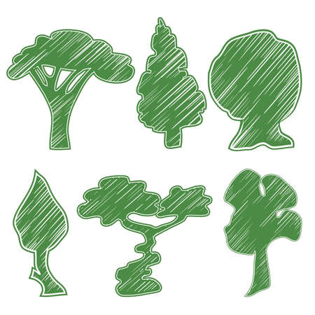 Set of icons trees green. Drawn in the style of a pencil. Bansal, acacia, hazel, oak, spruce. Vector illustrationのイラスト素材