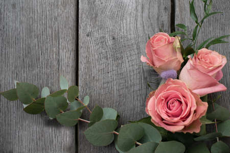 Three pink roses in a rustic background. Roses on a gray wooden backgroundの写真素材