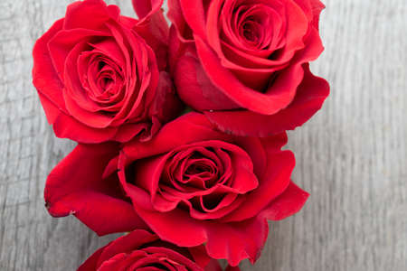 Red roses in a rustic background. Roses on a gray wooden backgroundの写真素材